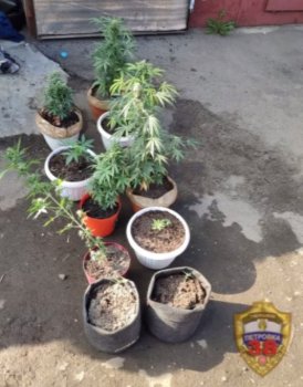 Полицейскими на юге столицы задержан подозреваемый в хранении наркотических средств