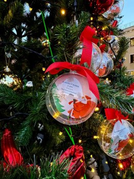 ����������������� �����